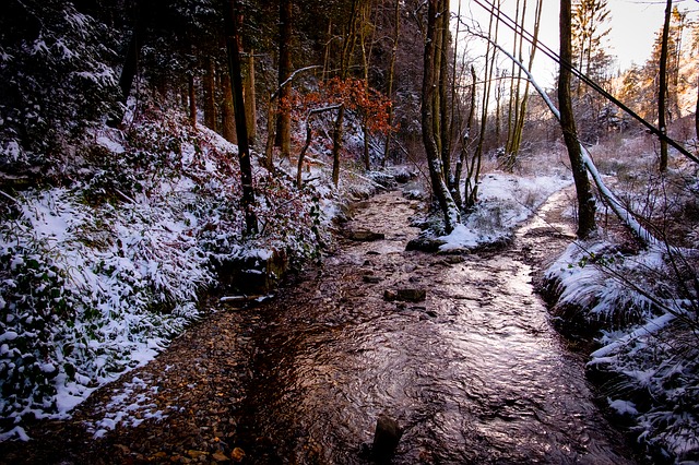 Balade guidée d'hiver aux pieds des Fagnes