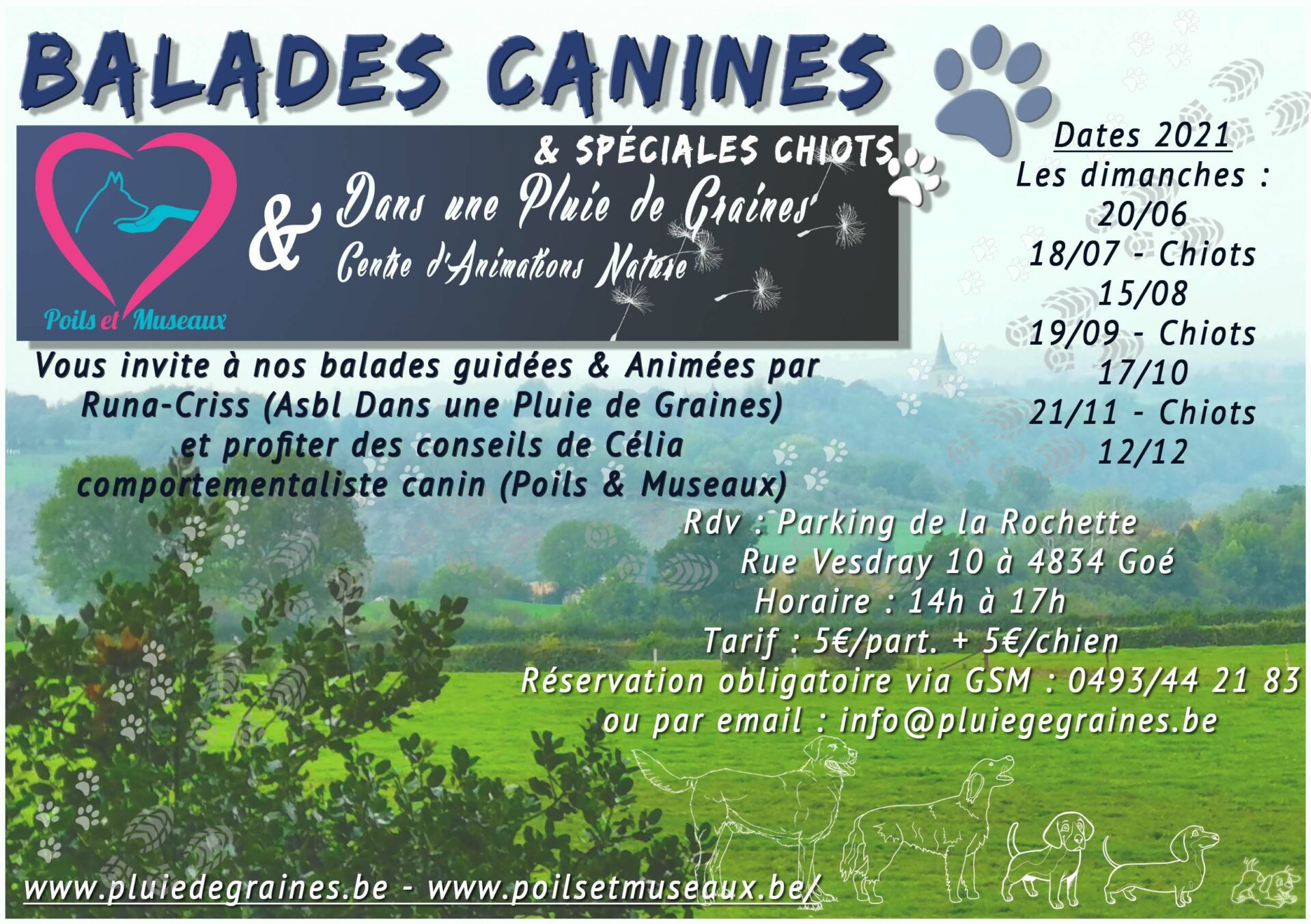 Balade Canine "Spéciale Chiots" en Pleine Nature