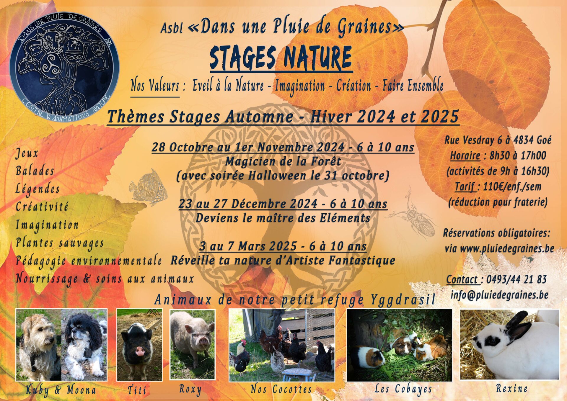 Réveille ta nature d'Artiste Fantastique! - STAGE ANNULE